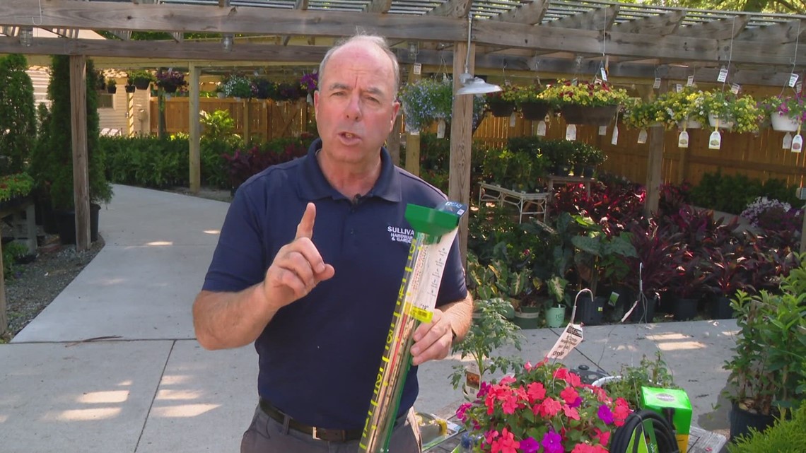 Pat Sullivan shares watering tips for your lawn and plants