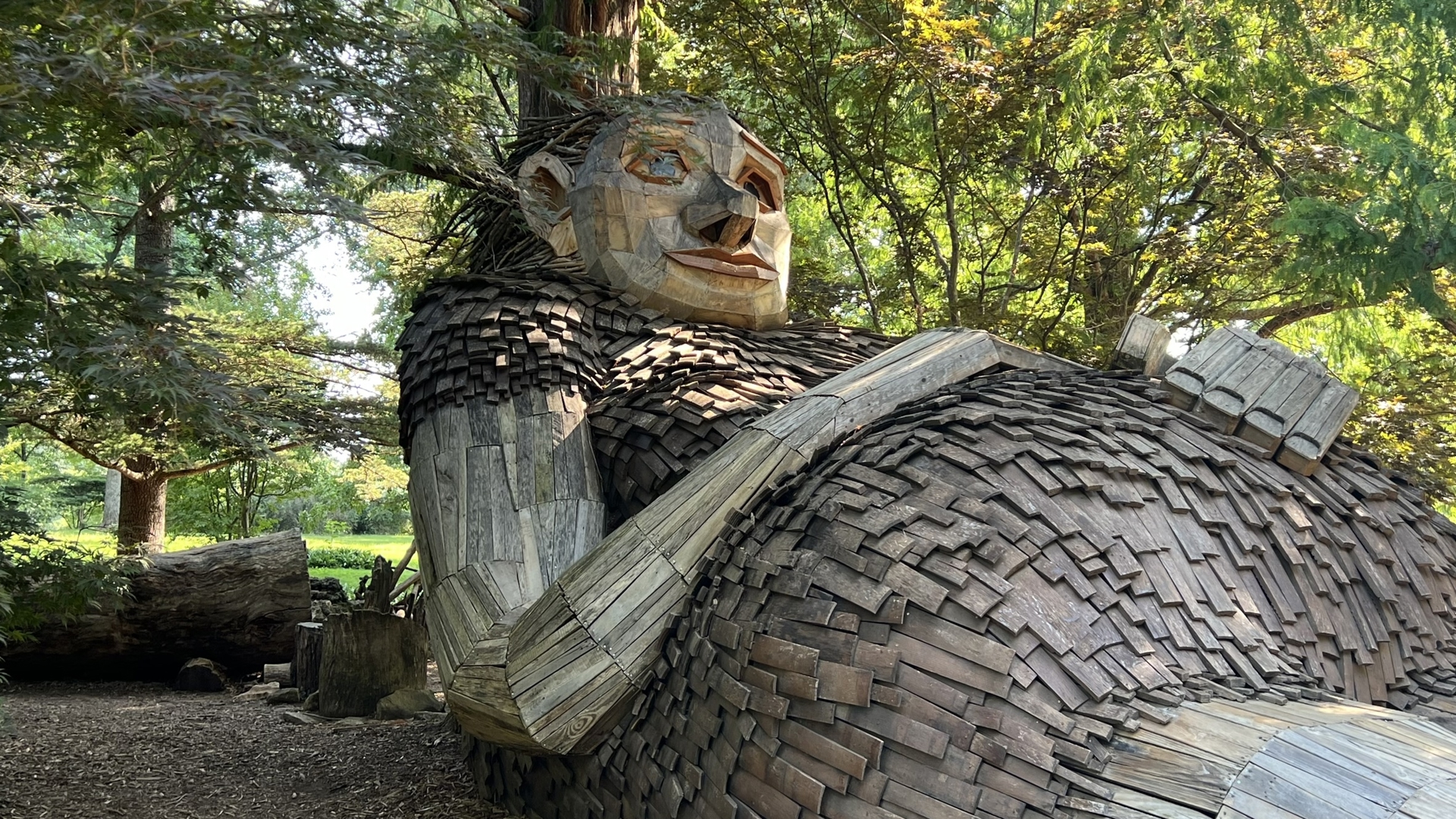 Finding giants at Bernheim Forest in Kentucky | wthr.com
