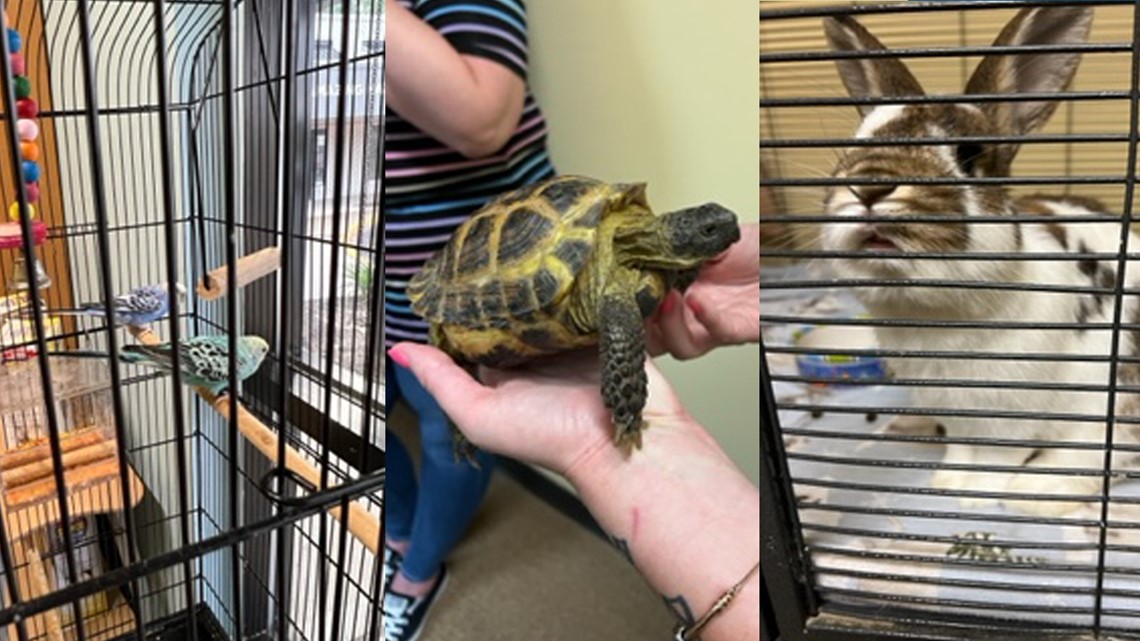 Hamilton County Animal Rescue Takes In Exotic Animals