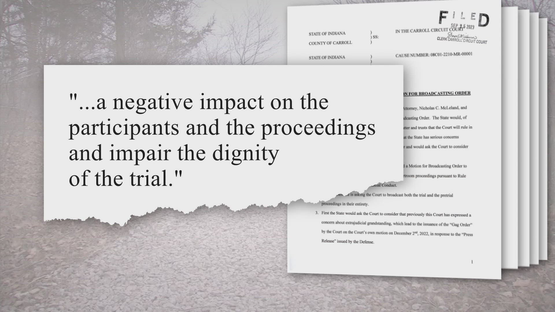 The documents were submitted after filings by Allen's legal team outlining why they believe Abby Williams and Libby German were "ritualistically sacrificed."