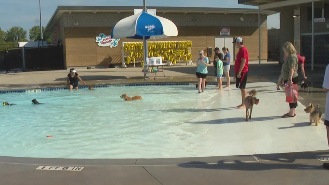 Greenwood Aquatic Center opens pool for the dogs Saturday