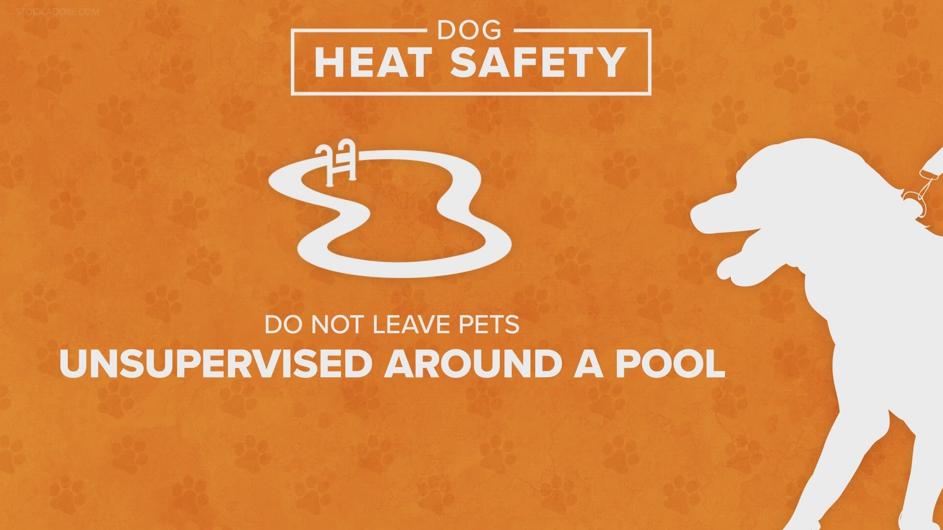 Limiting walks and keeping dogs away from hot pavement can help.