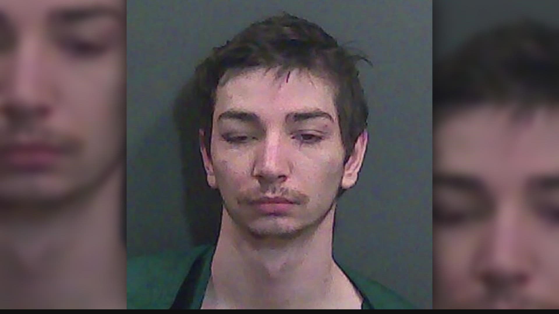 Nicholas Haneline, 20, is held on charges of robbery while armed with a deadly weapon, intimidation, resisting law enforcement and striking a law enforcement animal.
