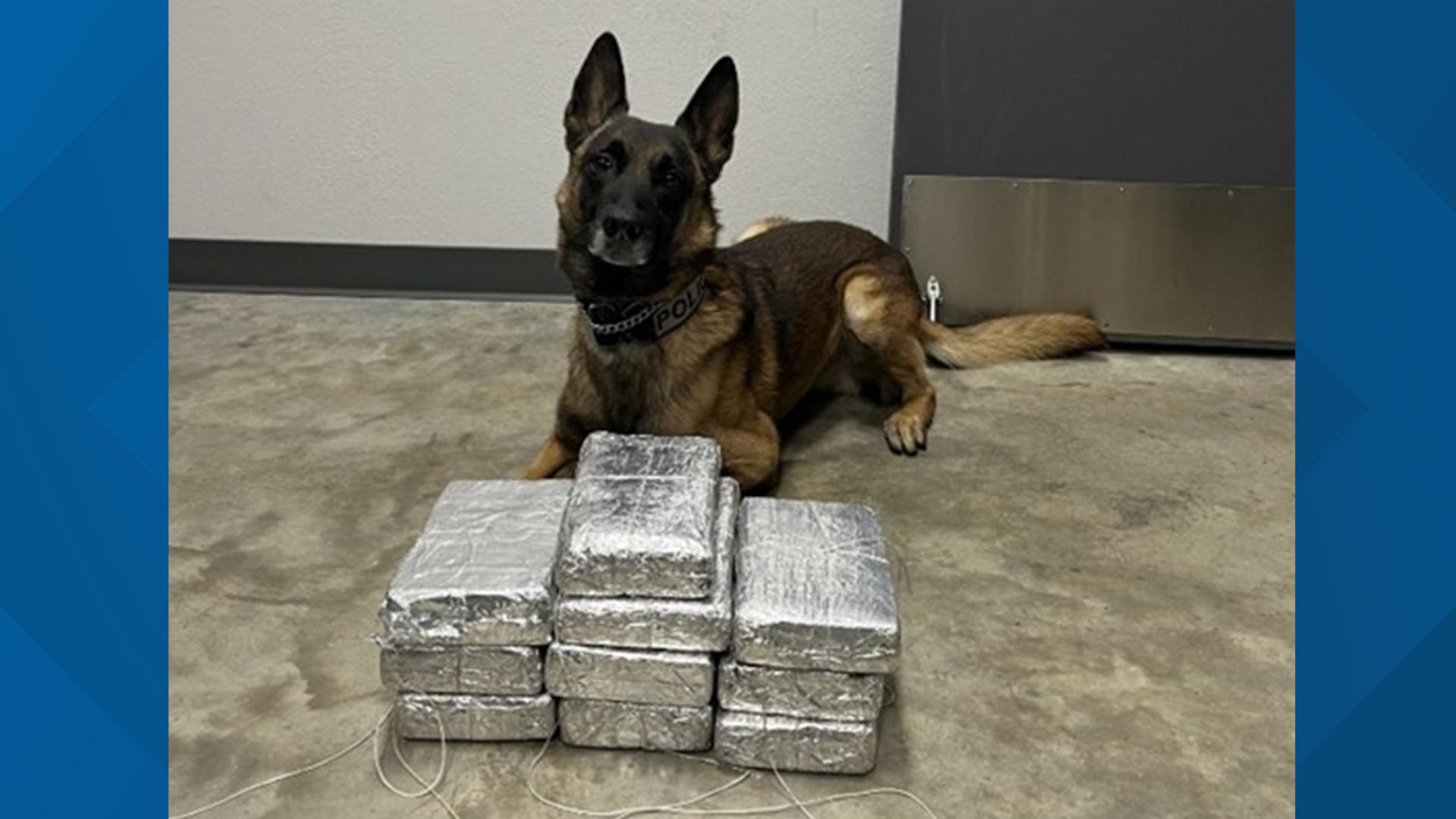 24.5 pounds of cocaine found during Whitestown traffic stop | wthr.com