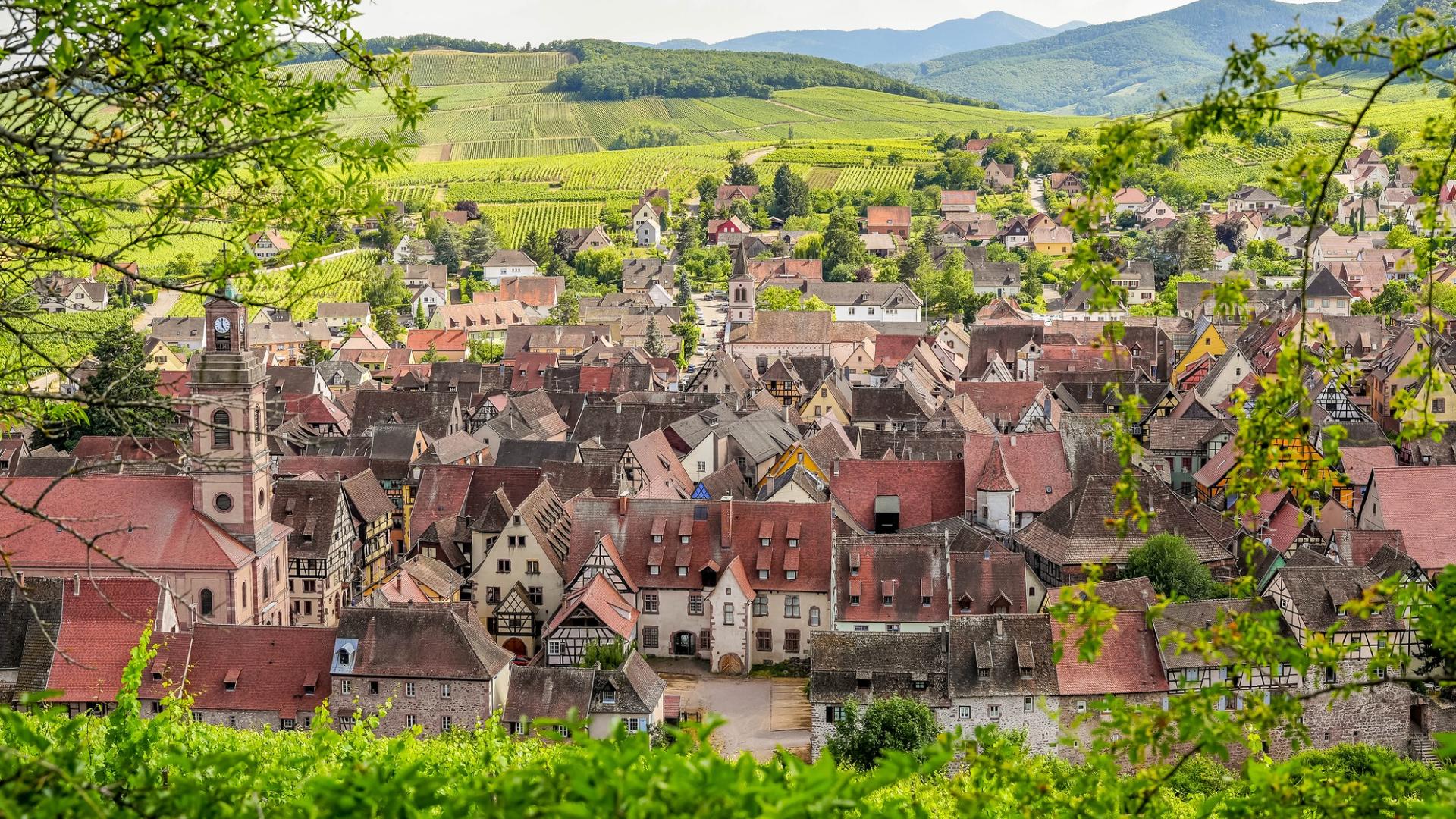 13News anchor Scott Swan visits the Alsacian region of France, where fairytale villages feel magical all year long.