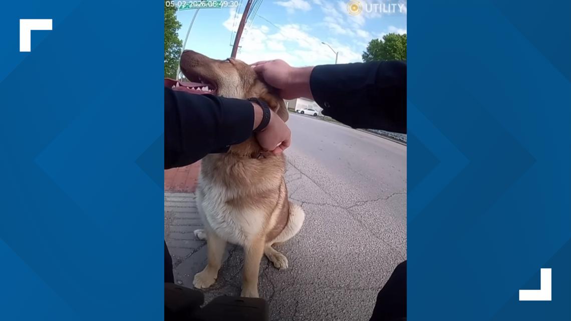 IMPD officers on West 10th Street were watching the runners Saturday when a four-legged friend joined the race.