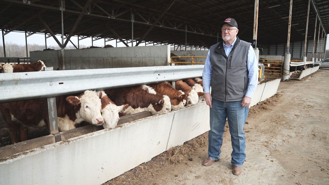 Cattle herds shrink to 75-year low, pushing beef prices higher | What's the Deal?