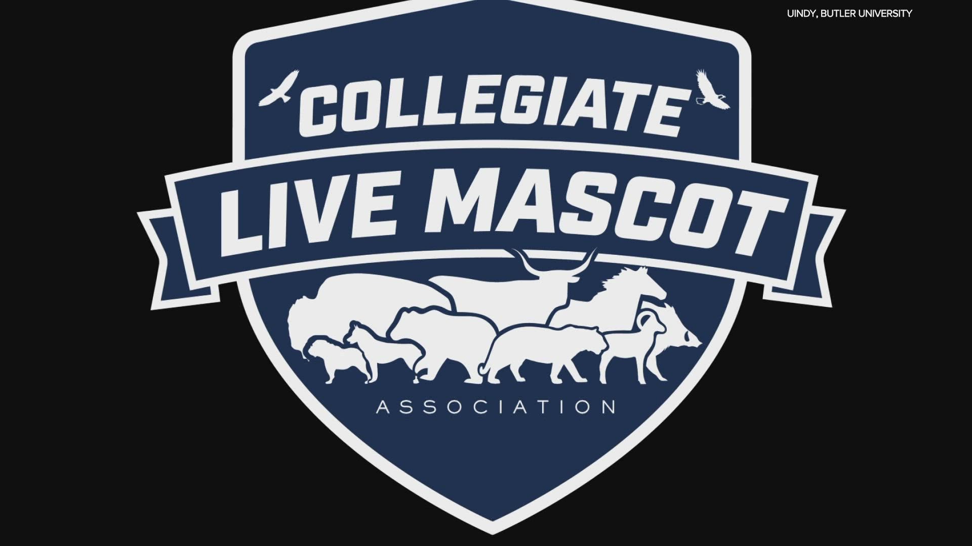 The University of Indianapolis and Butler University are hosting the National Collegiate Live Mascot Conference.
