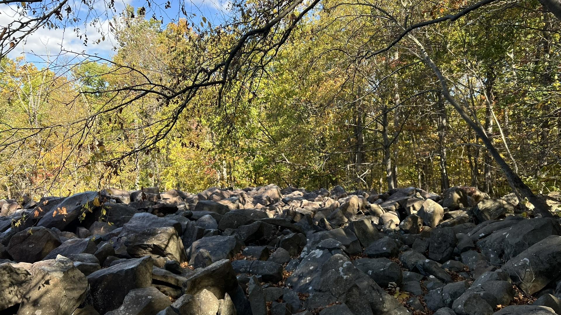 Rining Rocks Chuck's Big Adventure in Pennsylvania: Ringing Rocks Park | wthr.com