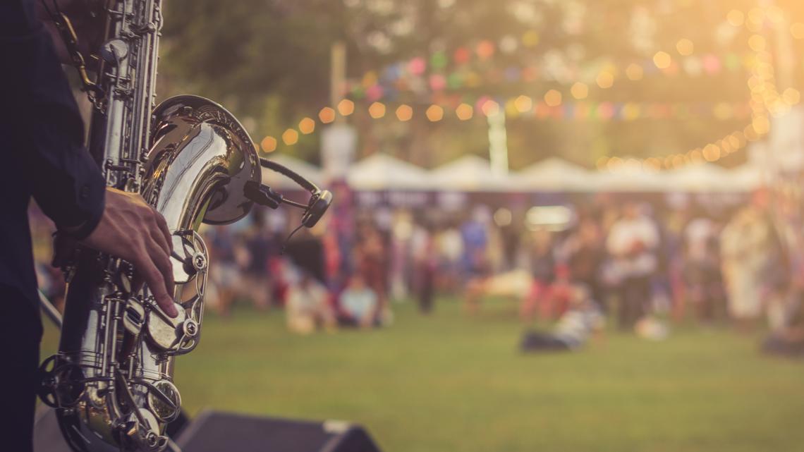 Brendon Park Music Festival brings Indianapolis community together, raises money for students
