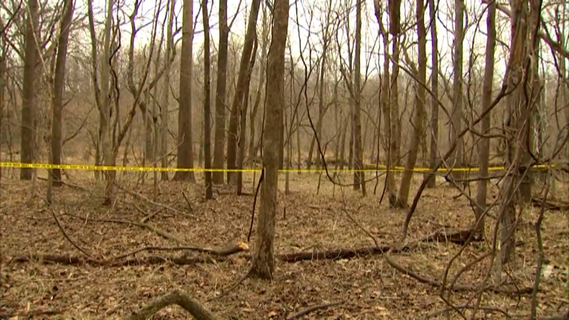Ballistics expert takes witness stand | Day 7 of Delphi murders trial ...