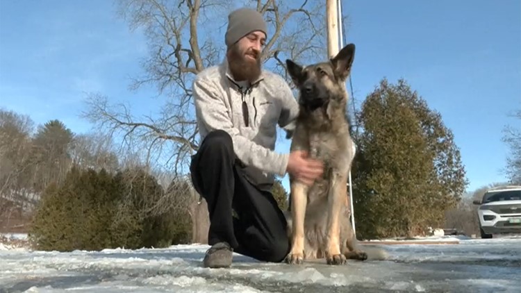 Dog found loose on New Hampshire interstate leads police to owner's crashed truck