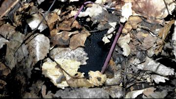 Carroll Co. prosecutor releases 3 new photos from Delphi crime scene