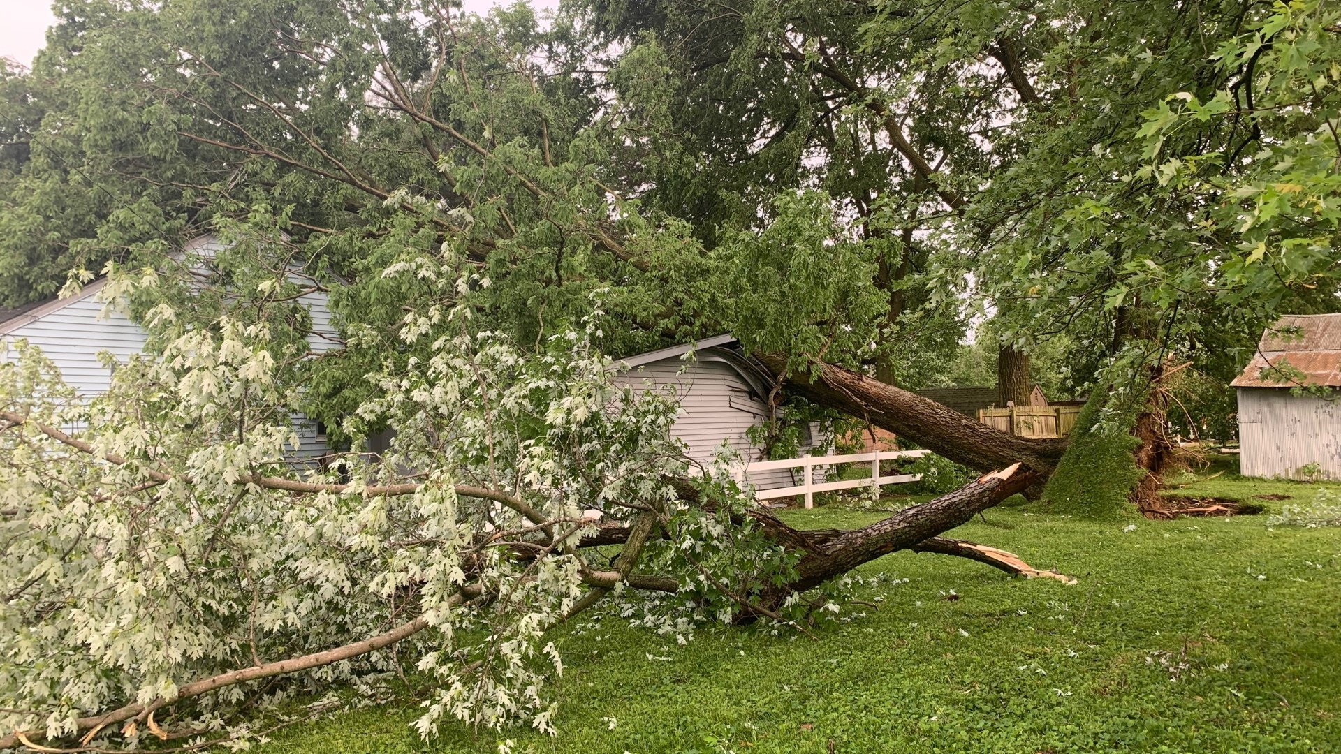 Severe weather leads to damage across the area | wthr.com