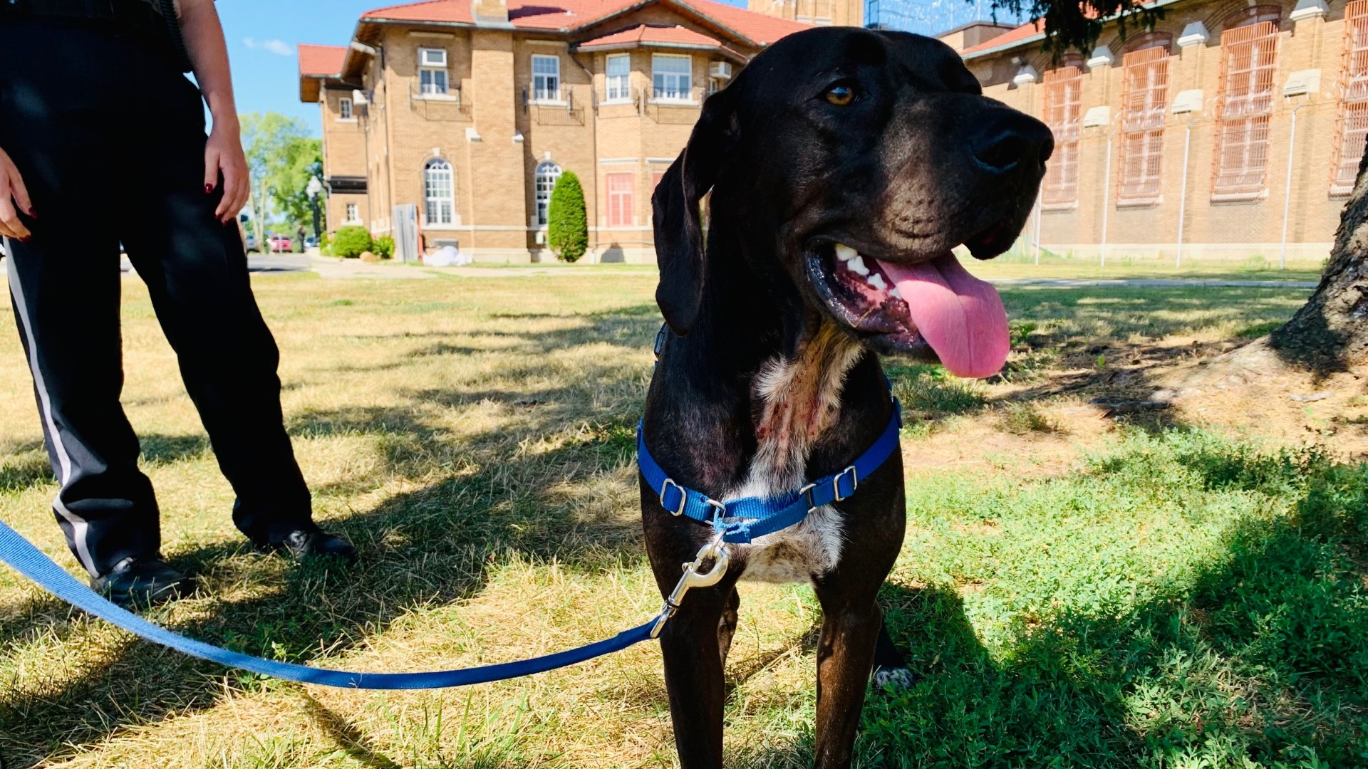 "Chance" is on-call 24/7 for when prison staff needs a lift.