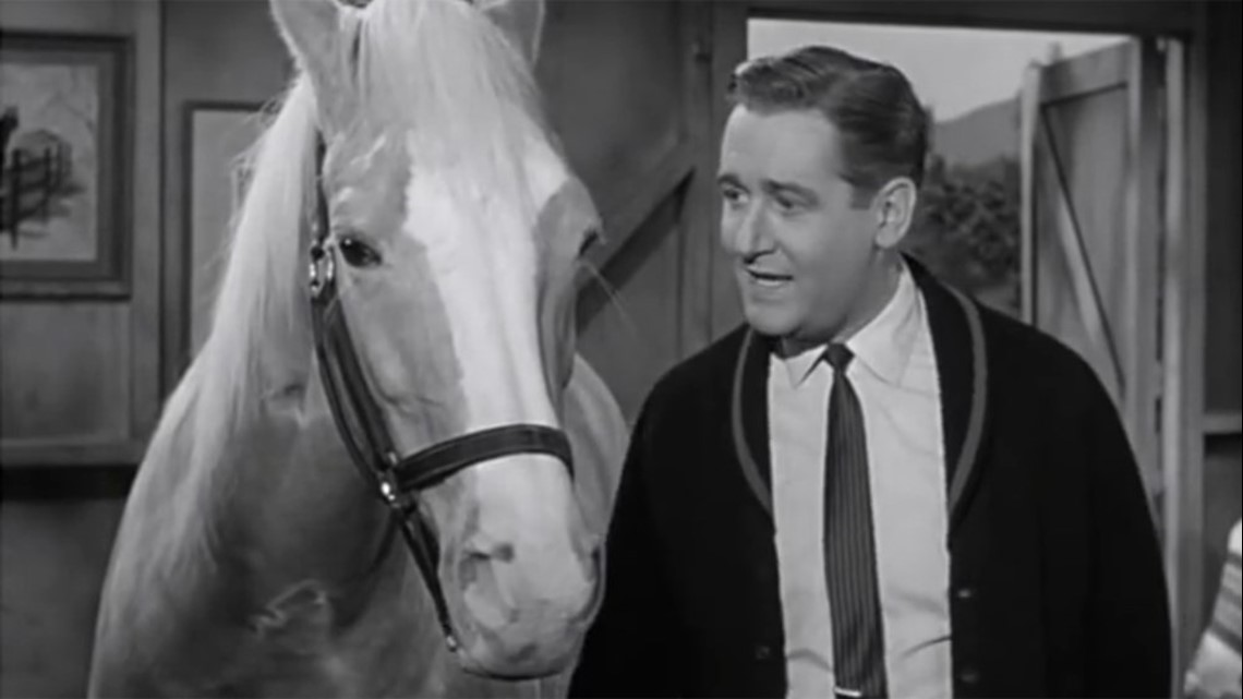 Aww, Wilbur! 'Mr. Ed' star Alan Young dies at 96