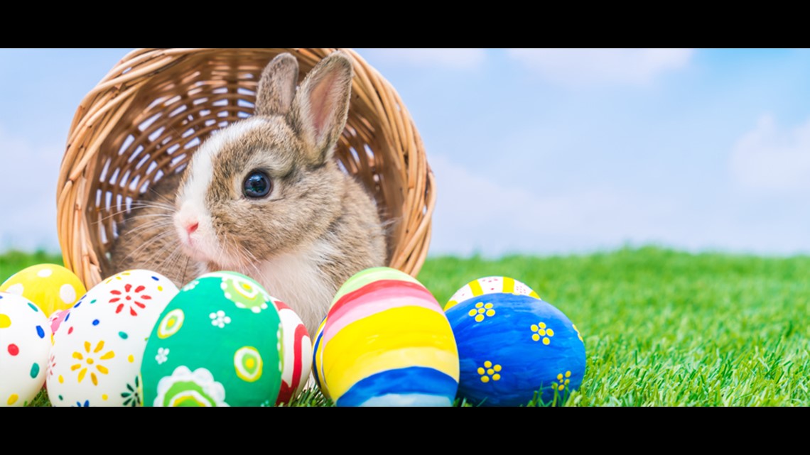 Easter Bunny set to return to area malls