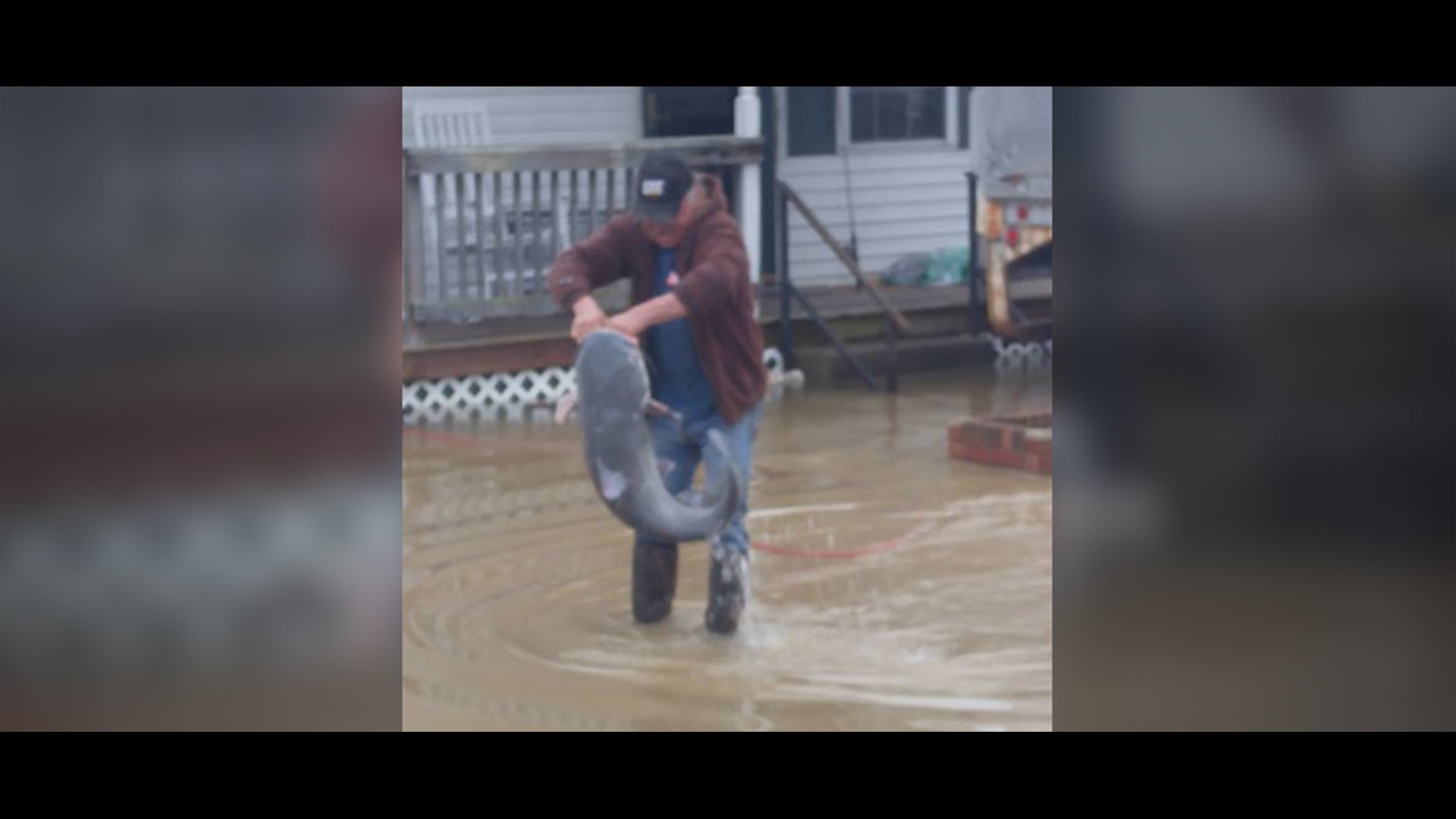 Kentucky man catches huge catfish in flooded front yard
