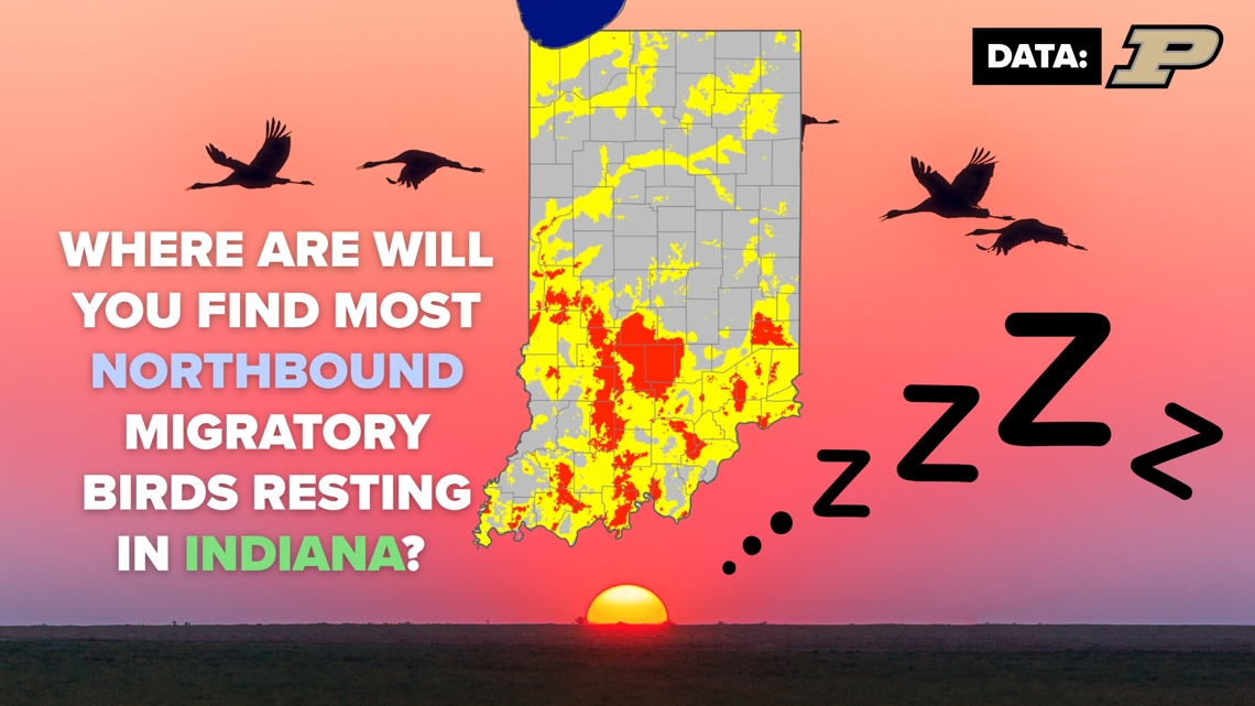 Millions of birds flying north over Indiana this week | Where are their favorite rest areas?