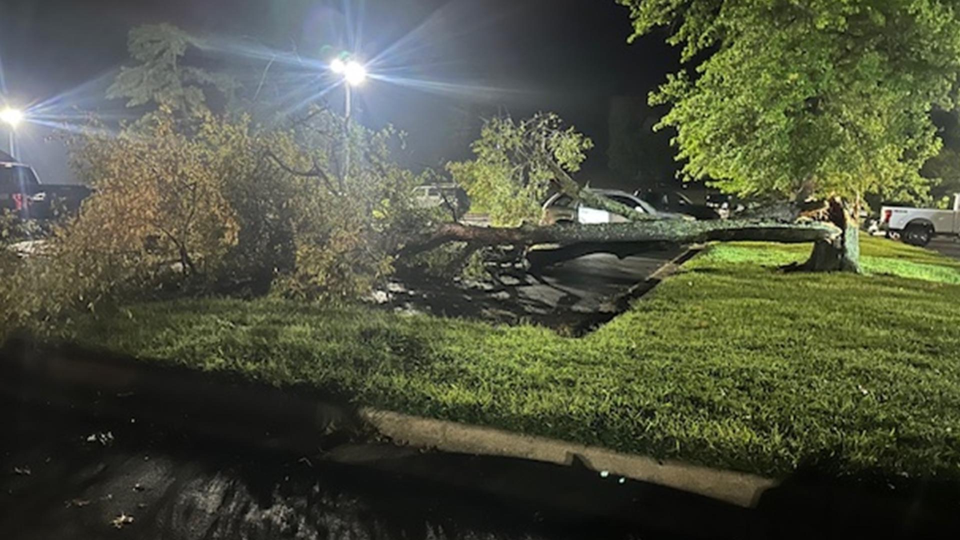 Tree traps camper, marina docks damaged in Monroe County severe storms ...