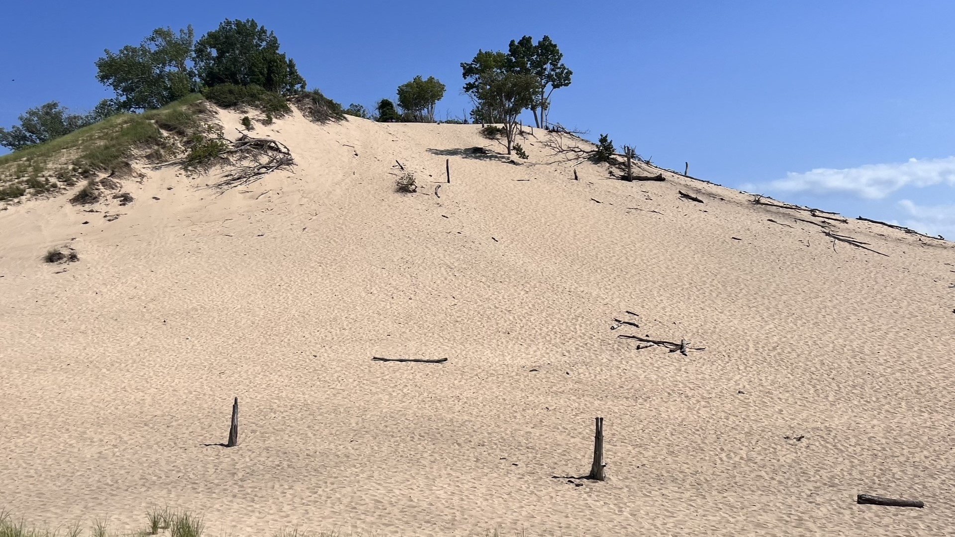 Sandboarding at Warren Dunes in southwest Michigan