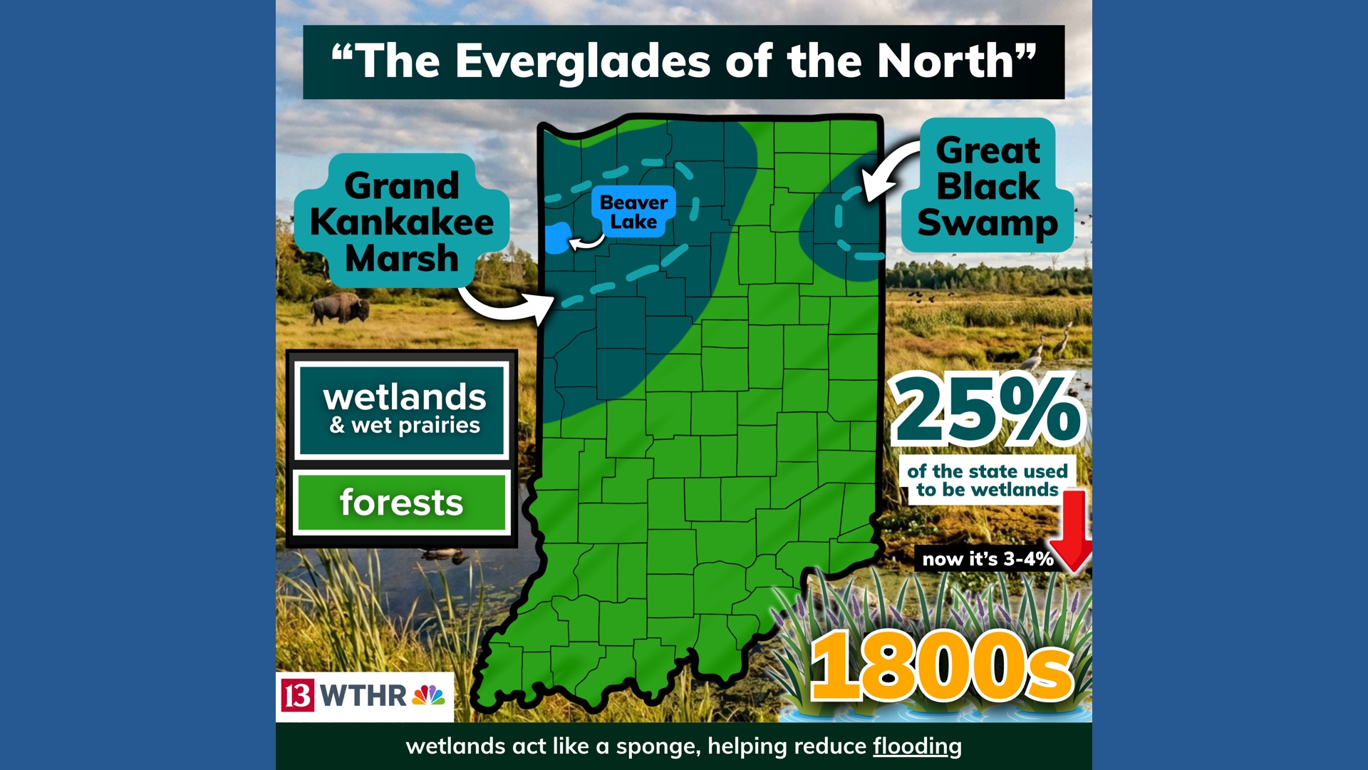 Indiana was once a quarter wetland: The lost Everglades of the North