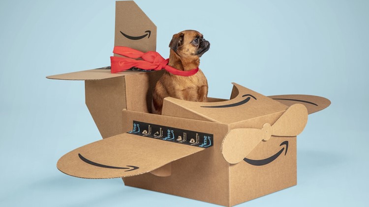 Amazon to hold its 1st 'Amazon Pet Day' on May 2