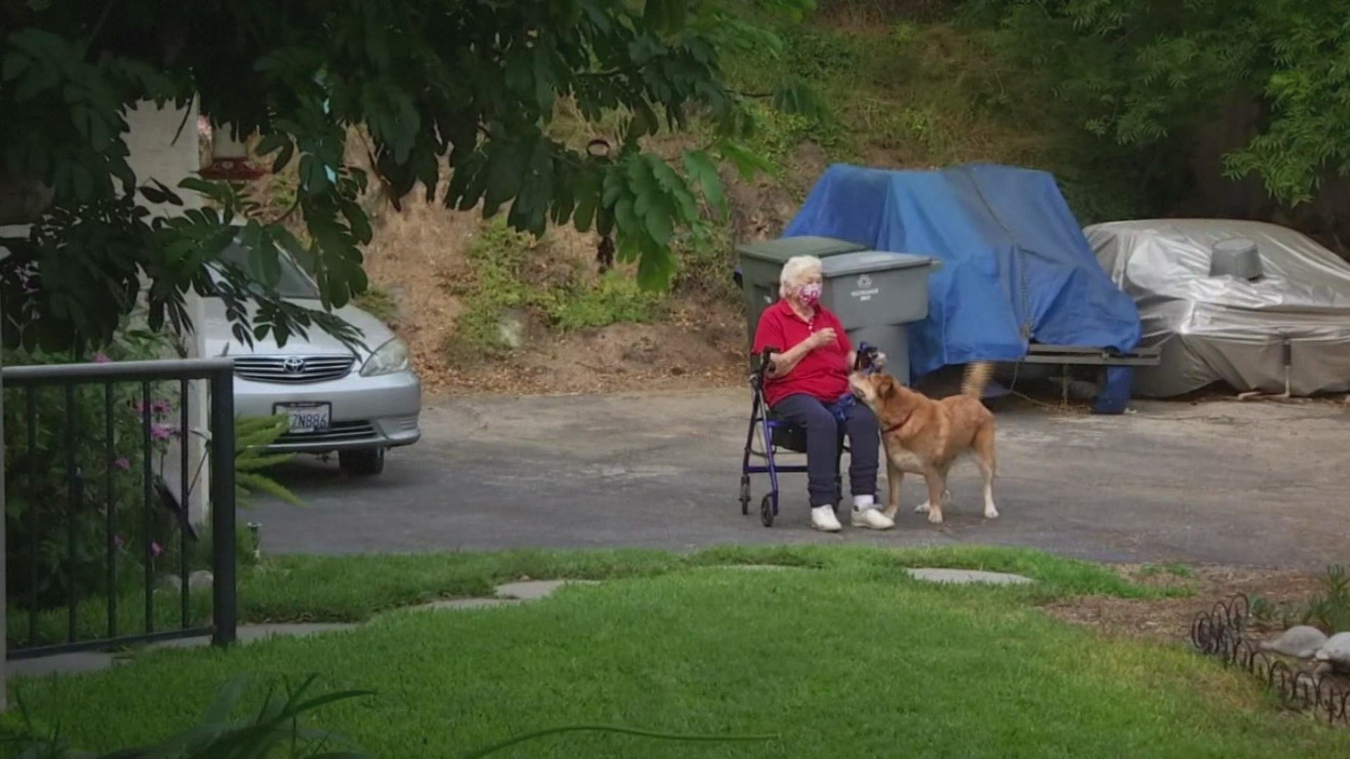 After his 88-year-old owner fell and couldn't get up, Sandy got the attention of a sanitation worker who had come to the home.