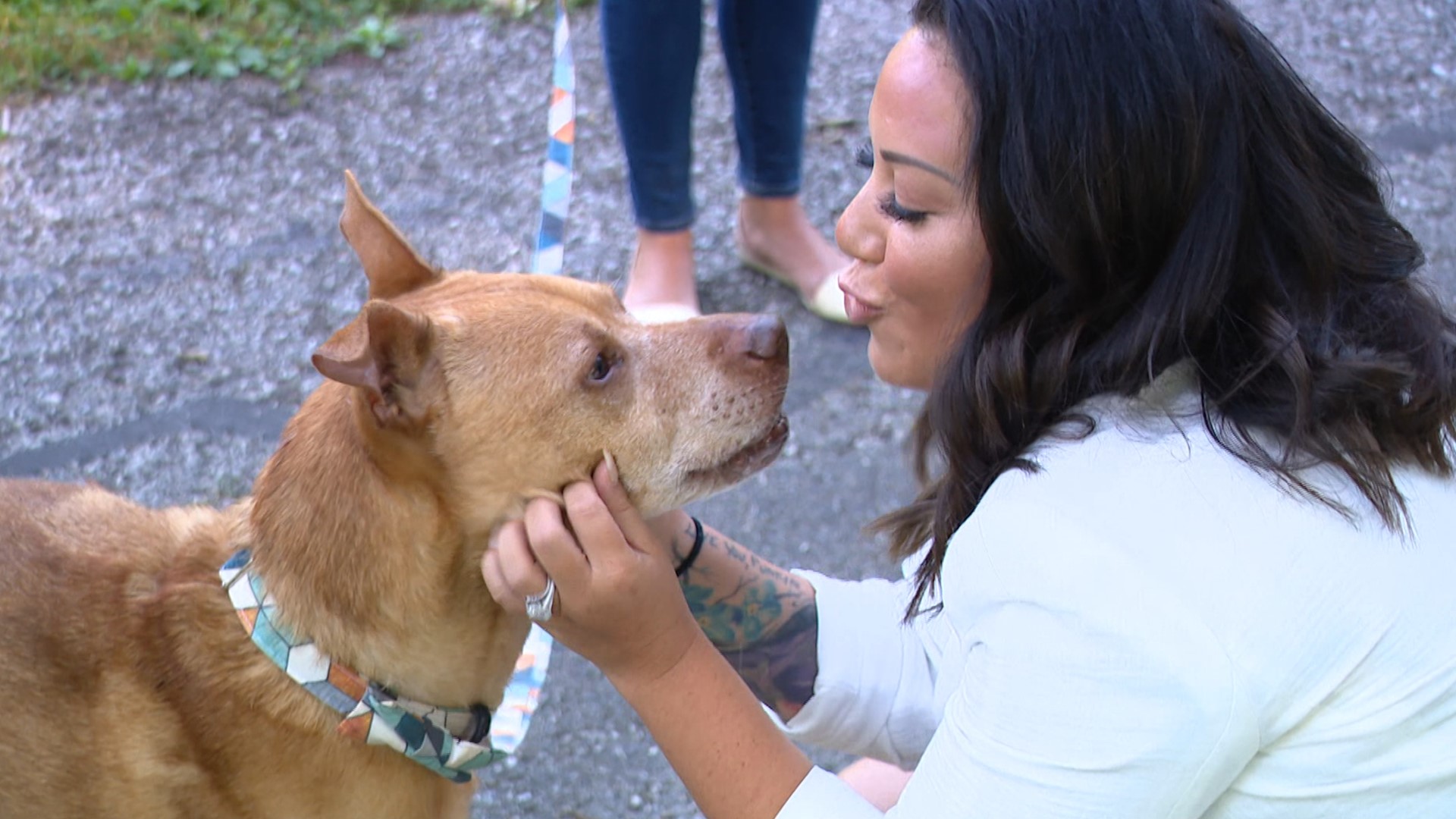 Samantha McAfee started the nonprofit after going through her own experience with a dog having cancer.