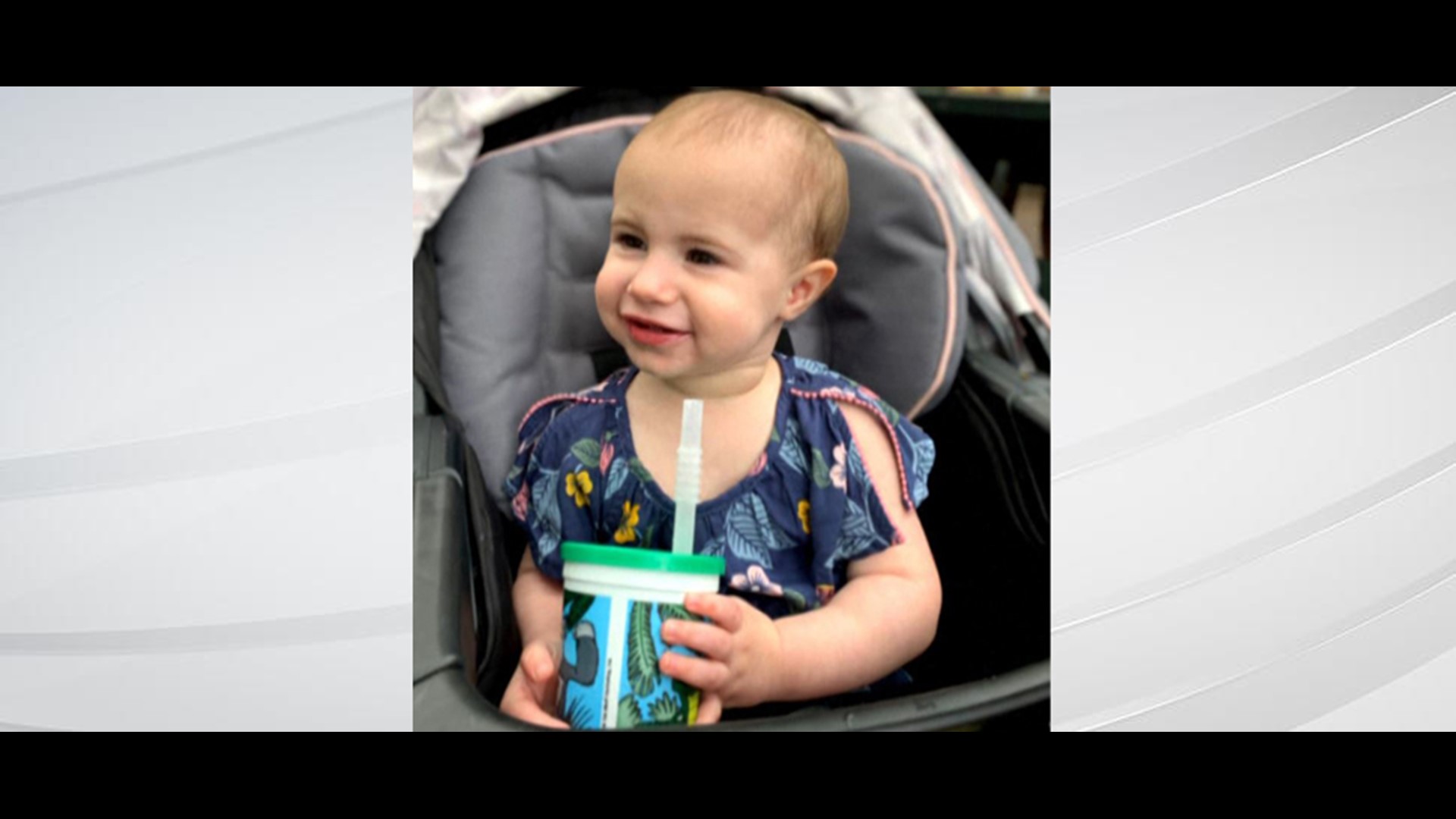 Chloe Wiegand's grandfather has pleaded guilty to negligent homicide in the toddler's death on a cruise ship in 2019.