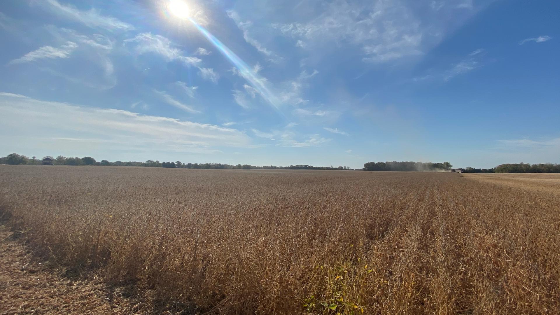 A shortage of rain has left fields and crops dry across central Indiana. It's hitting farmers, and their pocketbooks, hard. 13News' Samantha Johnson reports.