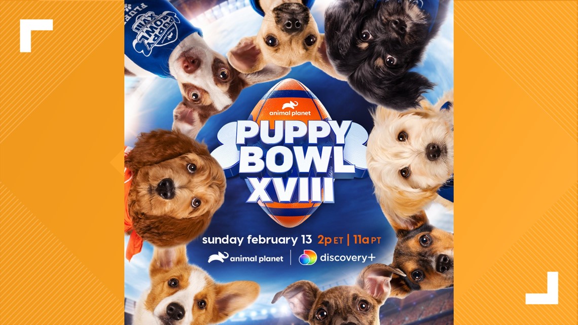 Central Indiana rescue dogs will be playing in the Puppy Bowl 