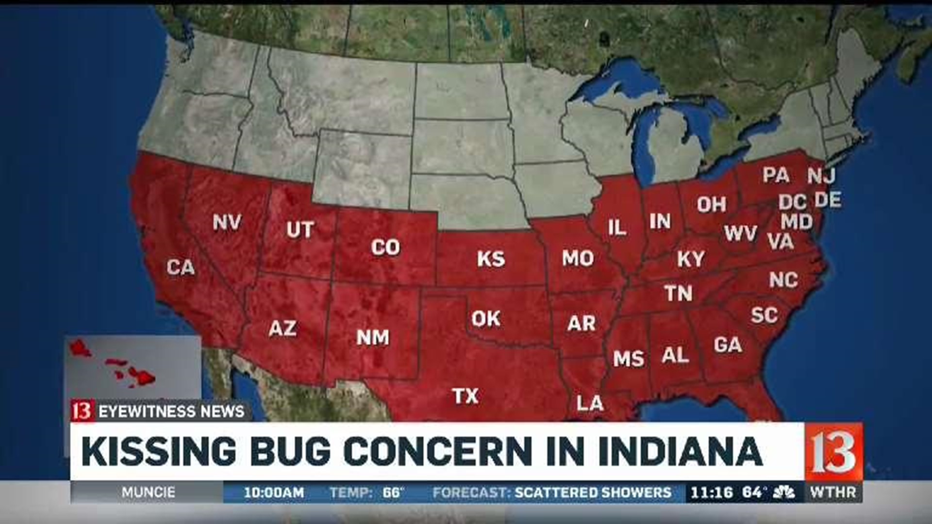 Kissing Bug Concern in Indiana