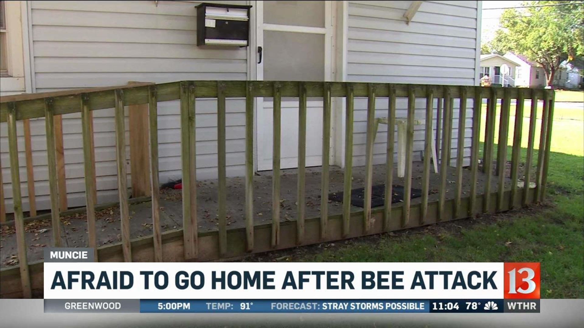 Couple stung by yellowjackets