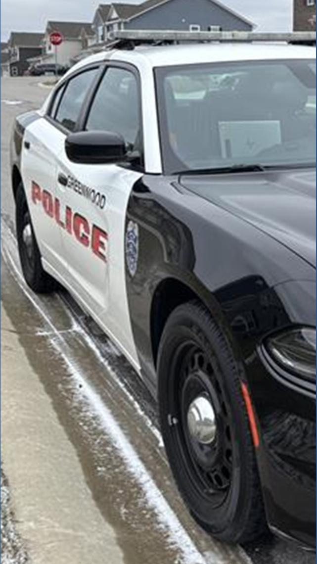 2 dead, 2 injured after shooting at birthday party in Greenwood | wthr.com