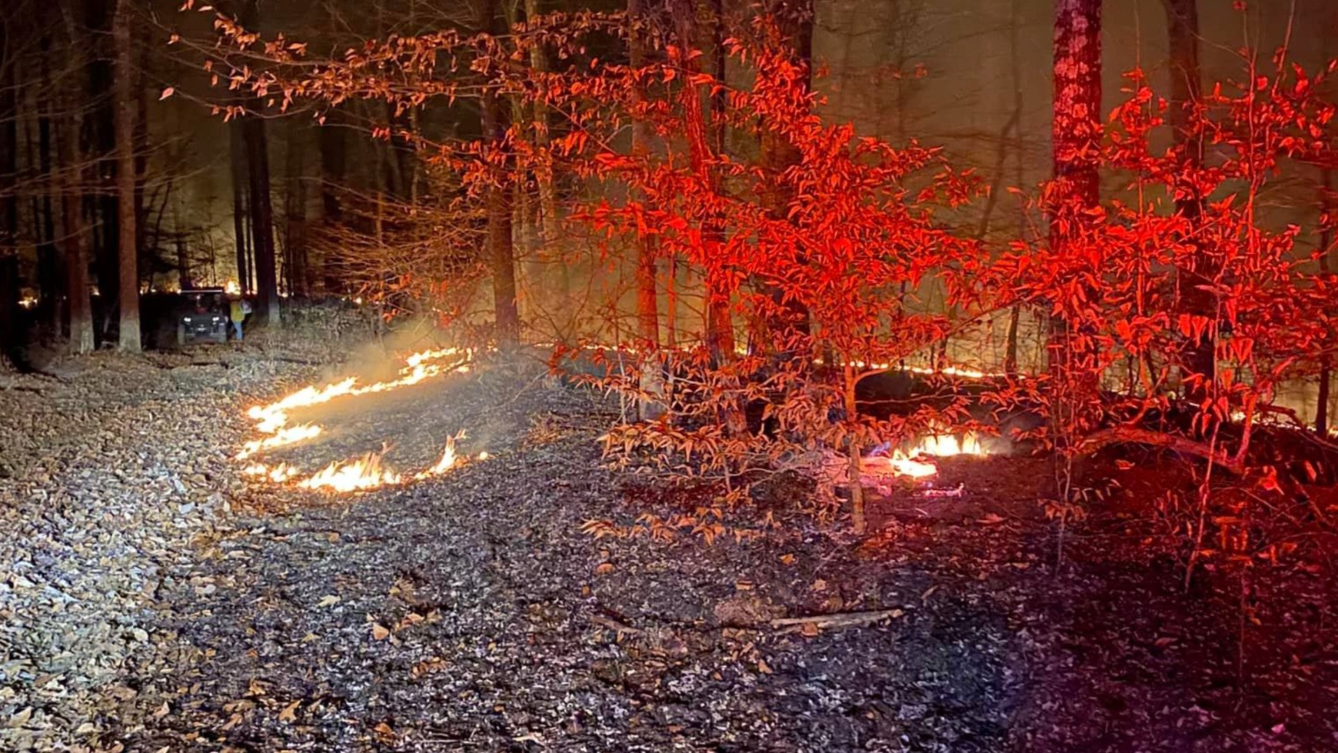 Firefighters Battle Brush Fire At Brown County State Park | Wthr.com