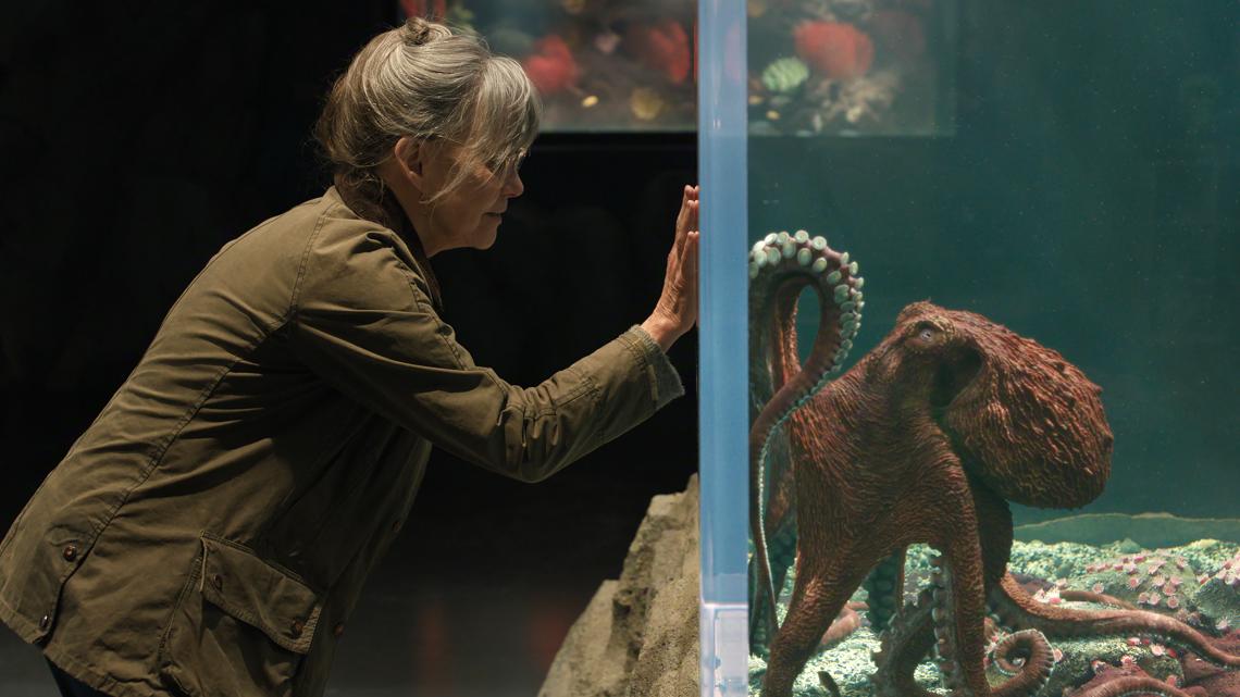 "Remarkably Bright Creatures," starring Sally Field, begins streaming Friday, May 8 on Netflix.