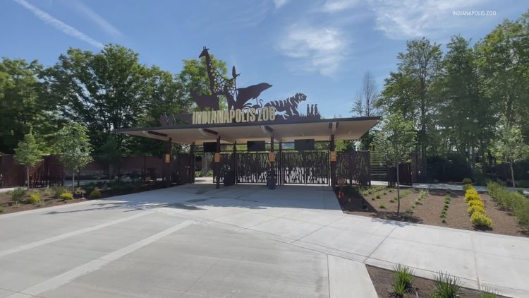 'They fell short this time' | Indianapolis Zoo plans to work with AZA to make improvements, gain back accreditation