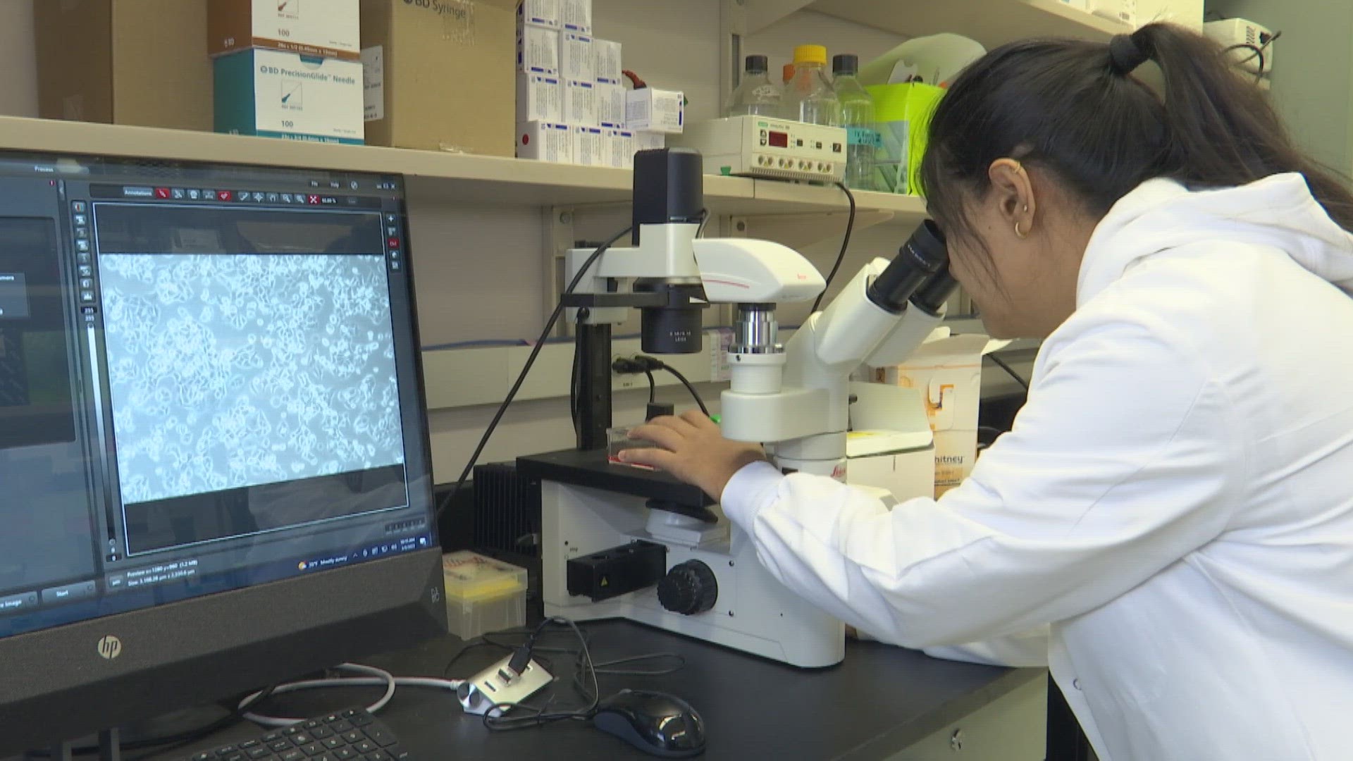 A team of IUPUI researchers is at the forefront of new ways to detect pancreatic cancer.