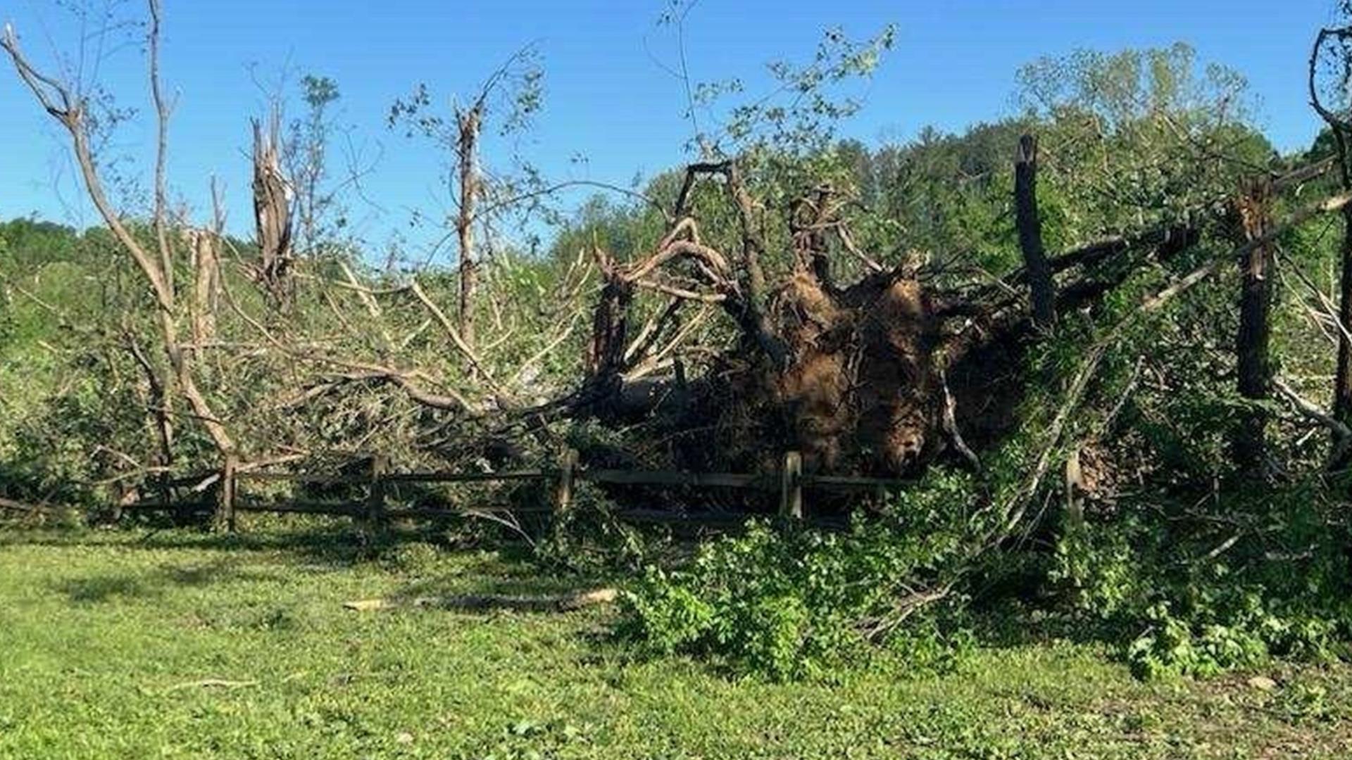 Horsemen’s Campground and all horse trails will be closed for an "undetermined time," said Holly Lawson, DNR Communications Director.
