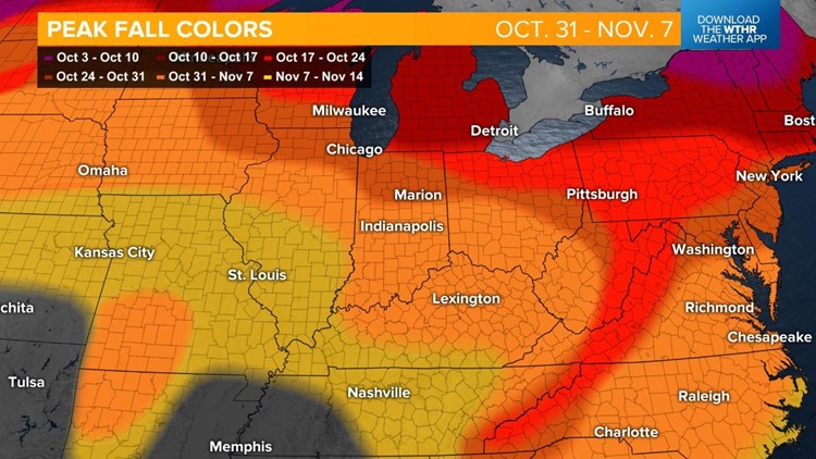 Live Doppler 13 Weather Blog: Update on fall foliage in central Indiana