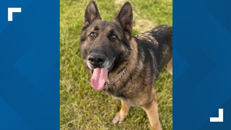 Indiana State Police K-9 Dies After 8 Years Of Service | Wthr.com