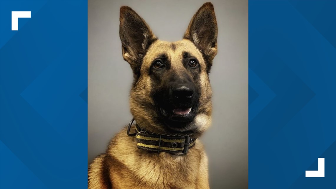 K9 Bruno Receives Vest Donation, News