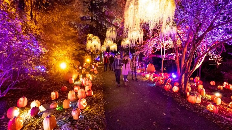 Harvest Nights returns to Newfields in fall | wthr.com