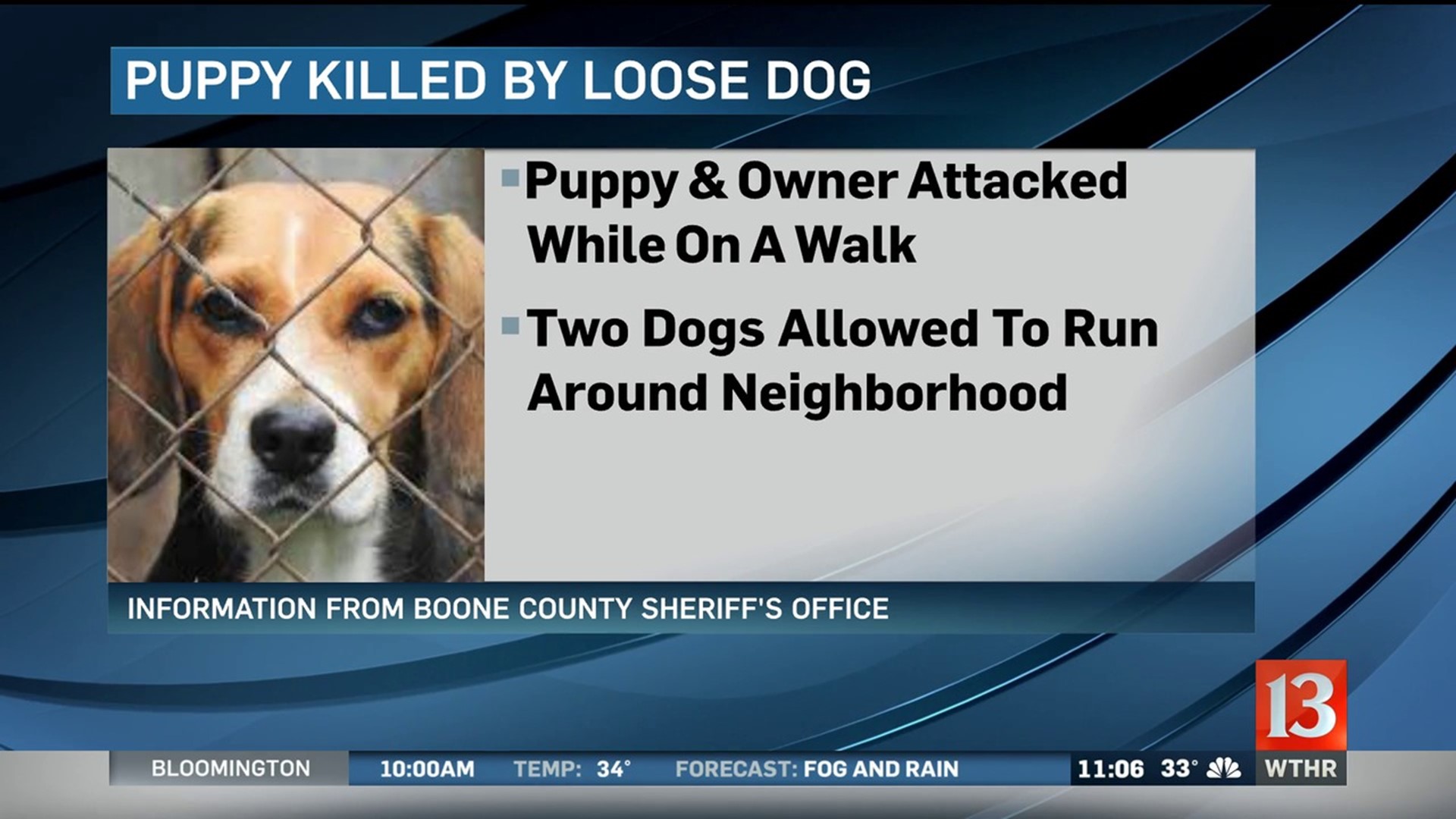 Puppy killed by loose dog in Boone County