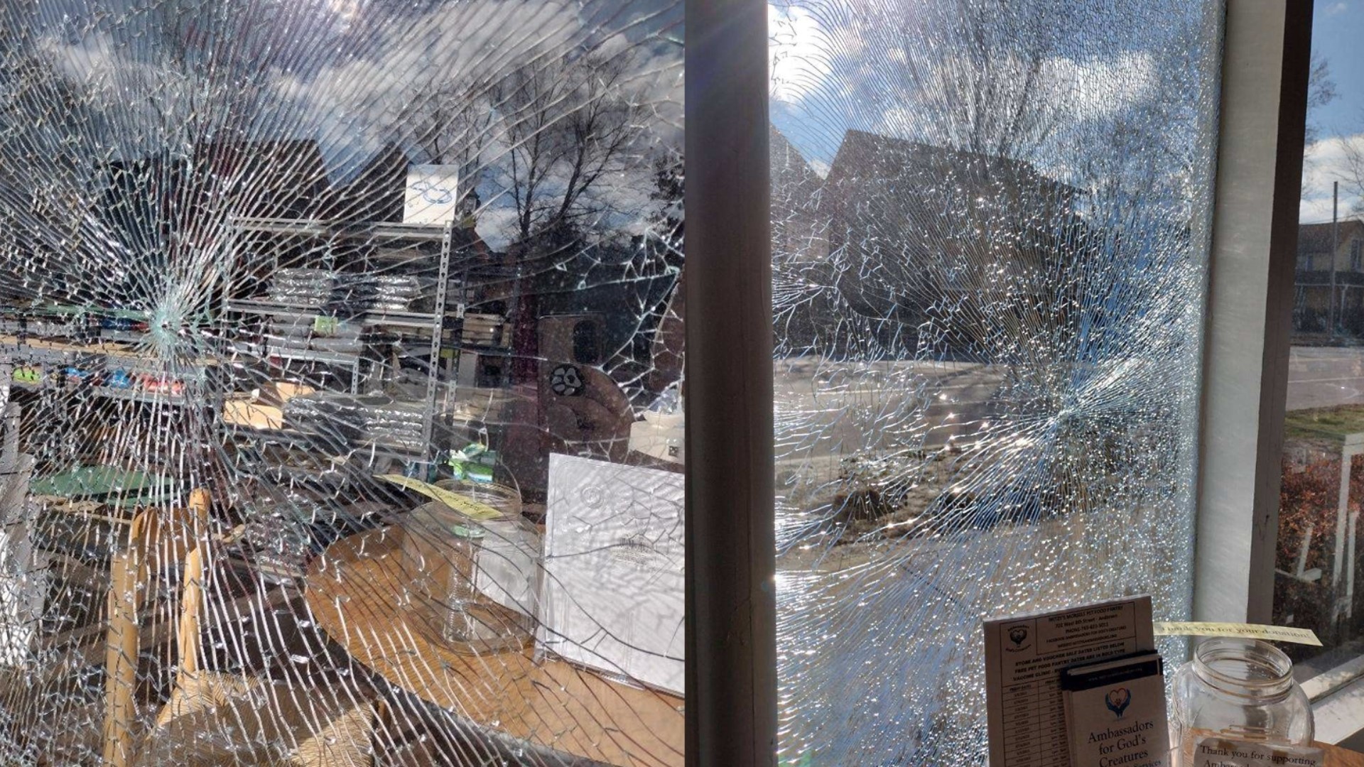 Mitz'y Thrift Shop believes someone used a slingshot to shatter the window.