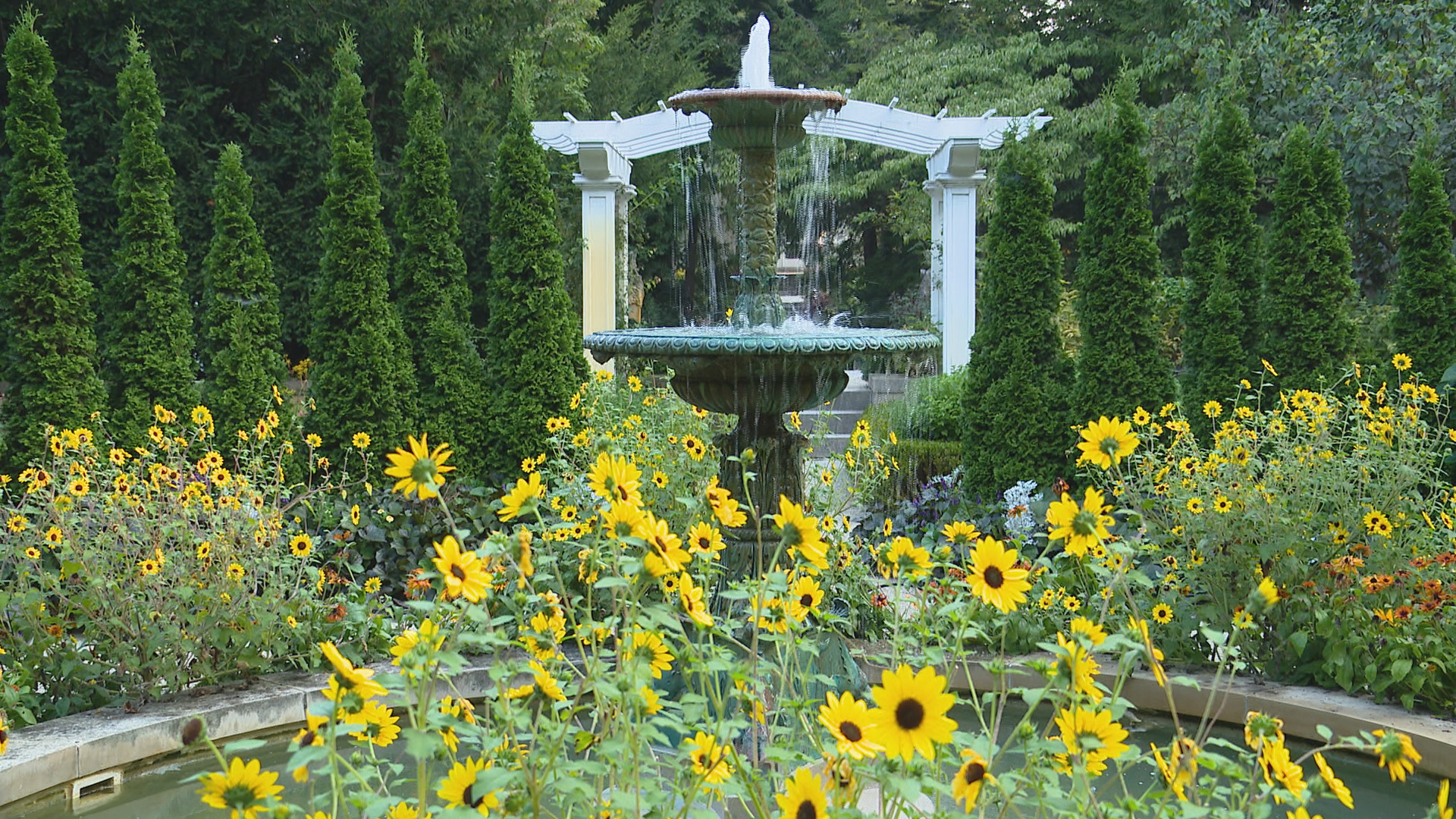 Art and nature have inspired one another in Van Gogh-inspired garden displays at Newfields.