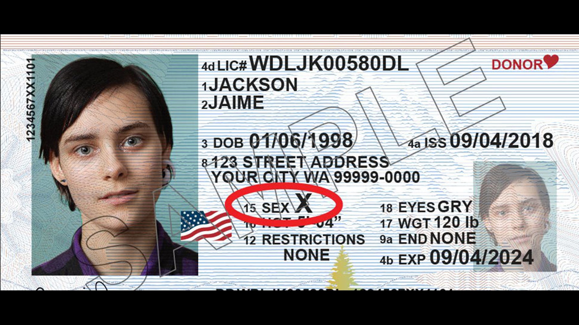 Washington state adds gender 'X' option to ID cards