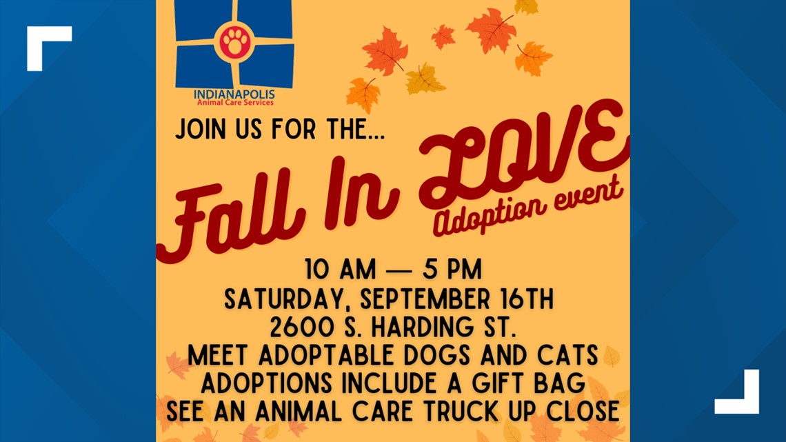 Fall in Love With a Shelter Cat Adoption Event