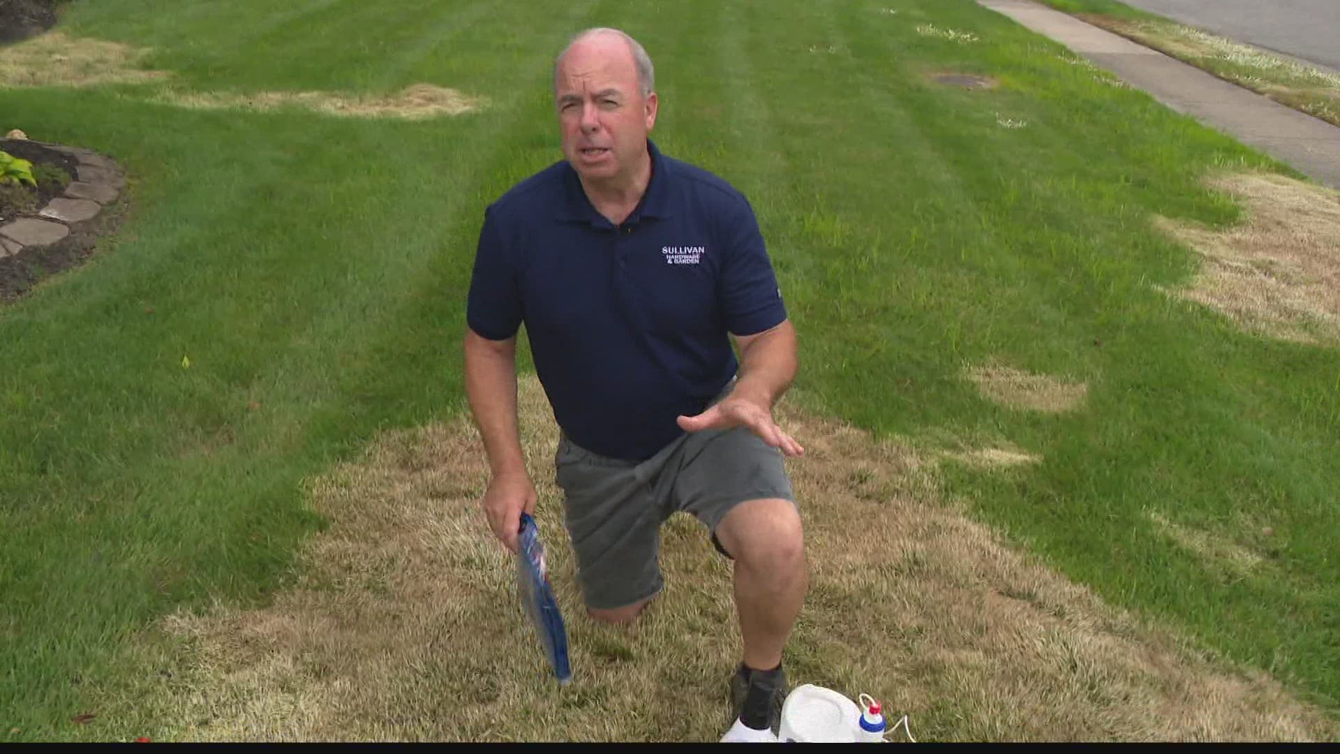 Pat explains how to prepare problem spots on your lawn for fall grass seeding.